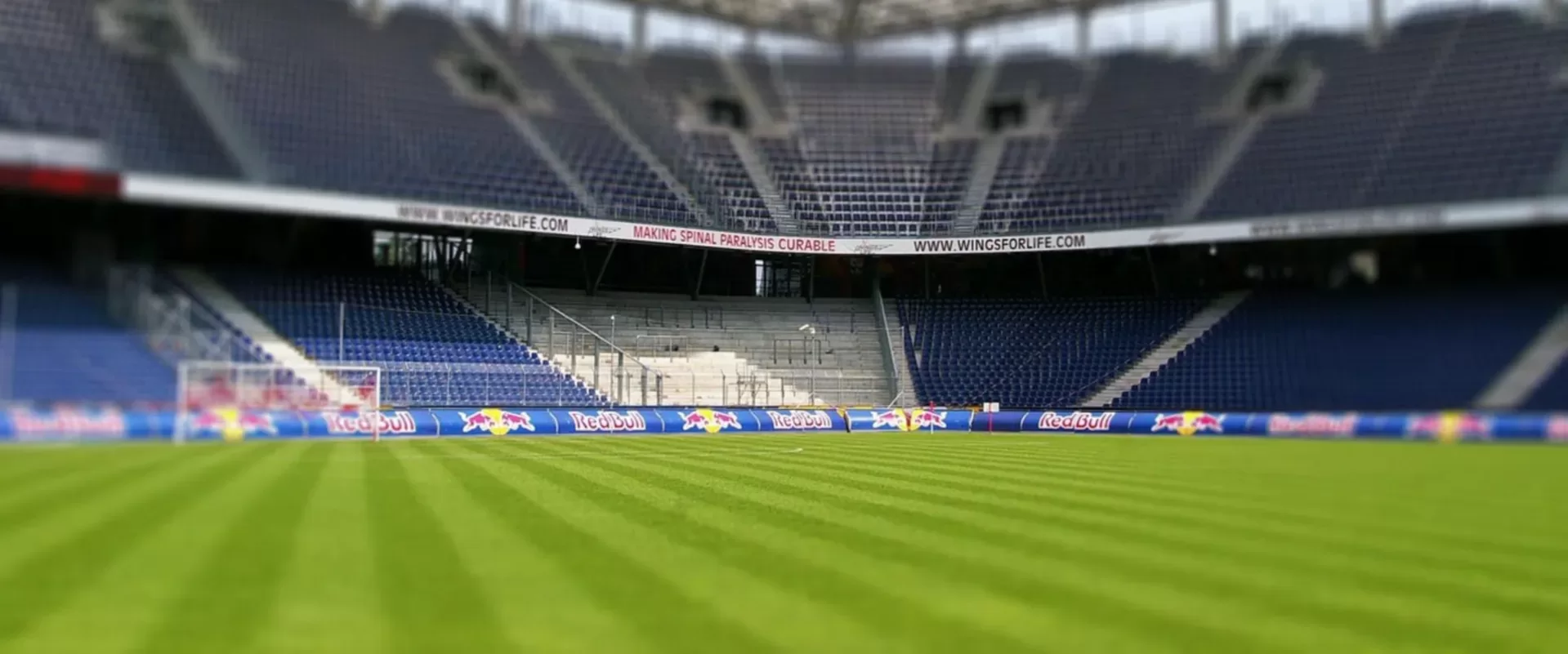 【星空体育】预览大图
